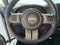 2016 Jeep Wrangler Black Bear