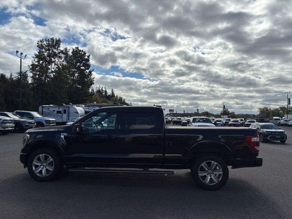 2021 Ford F-150 Platinum